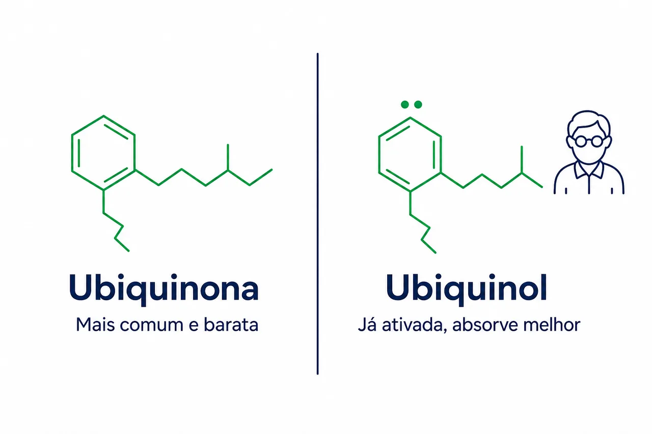 Comparação simples entre ubiquinona e ubiquinol, as duas formas da coenzima Q10
