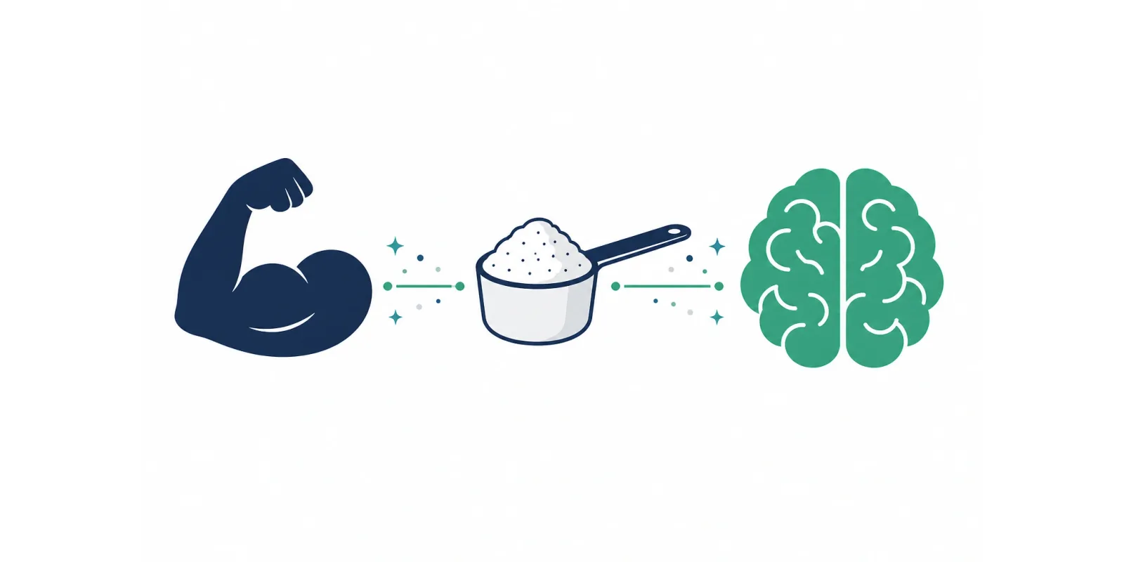 Creatina: para que serve e como usar do jeito certo