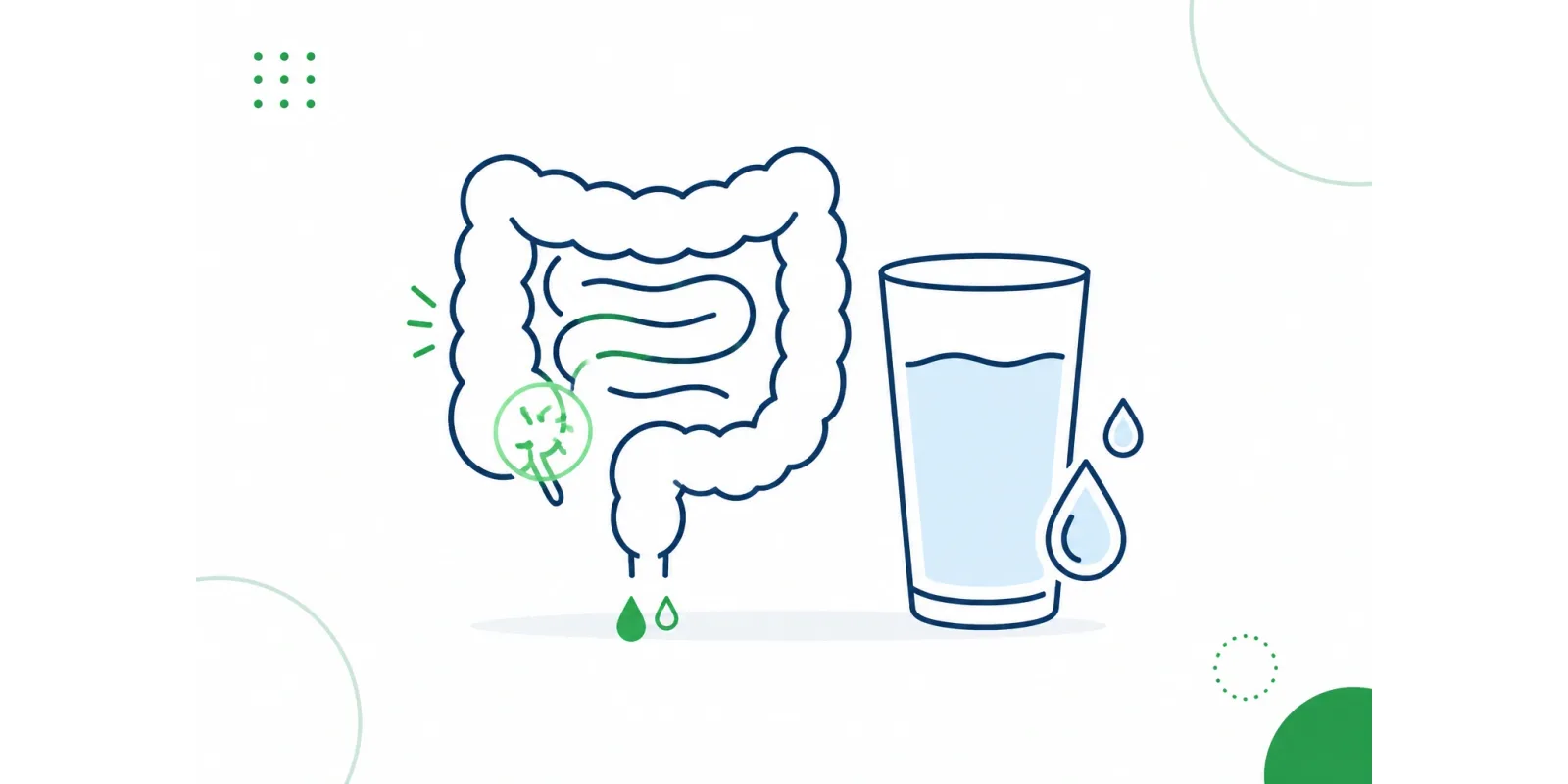 Ilustração de um intestino com copo de água, símbolo da diarreia e da hidratação