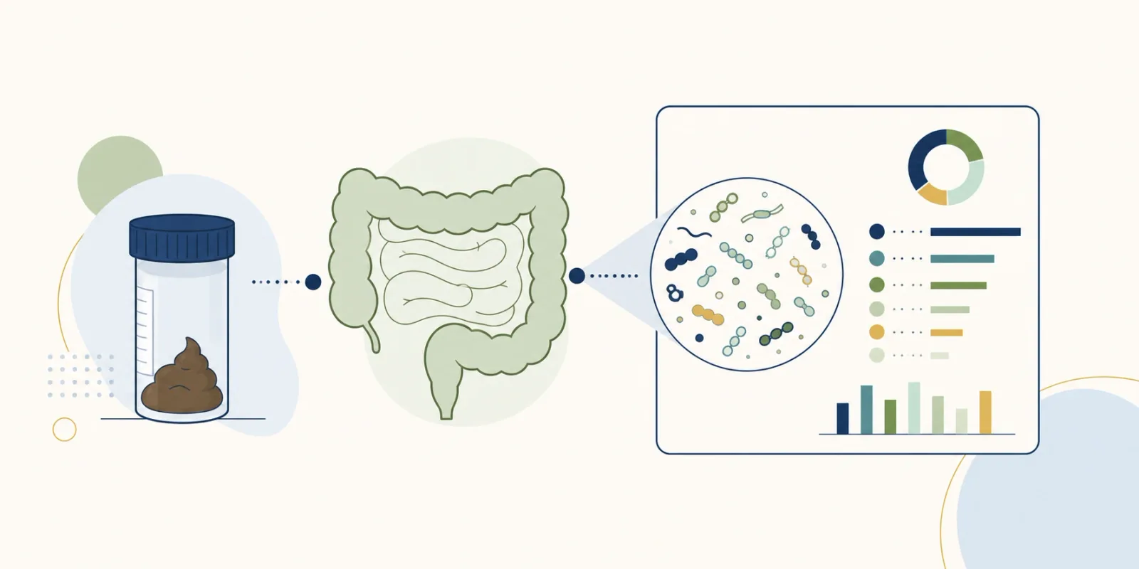 Disbiose intestinal: quais exames pedir e o que cada um mostra
