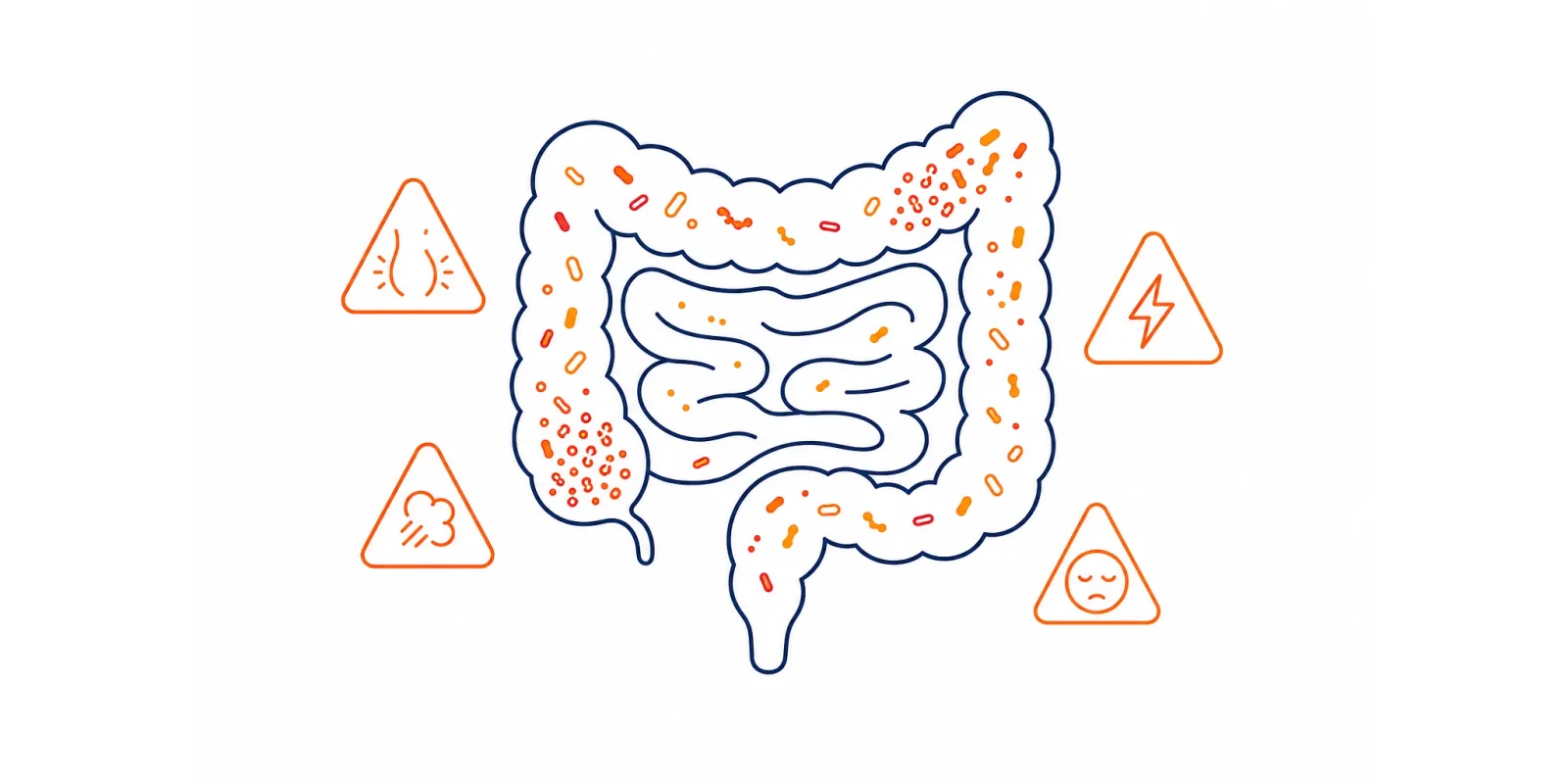 Ilustração de intestino com microbiota em desequilíbrio e sinais de alerta em tons de âmbar e coral