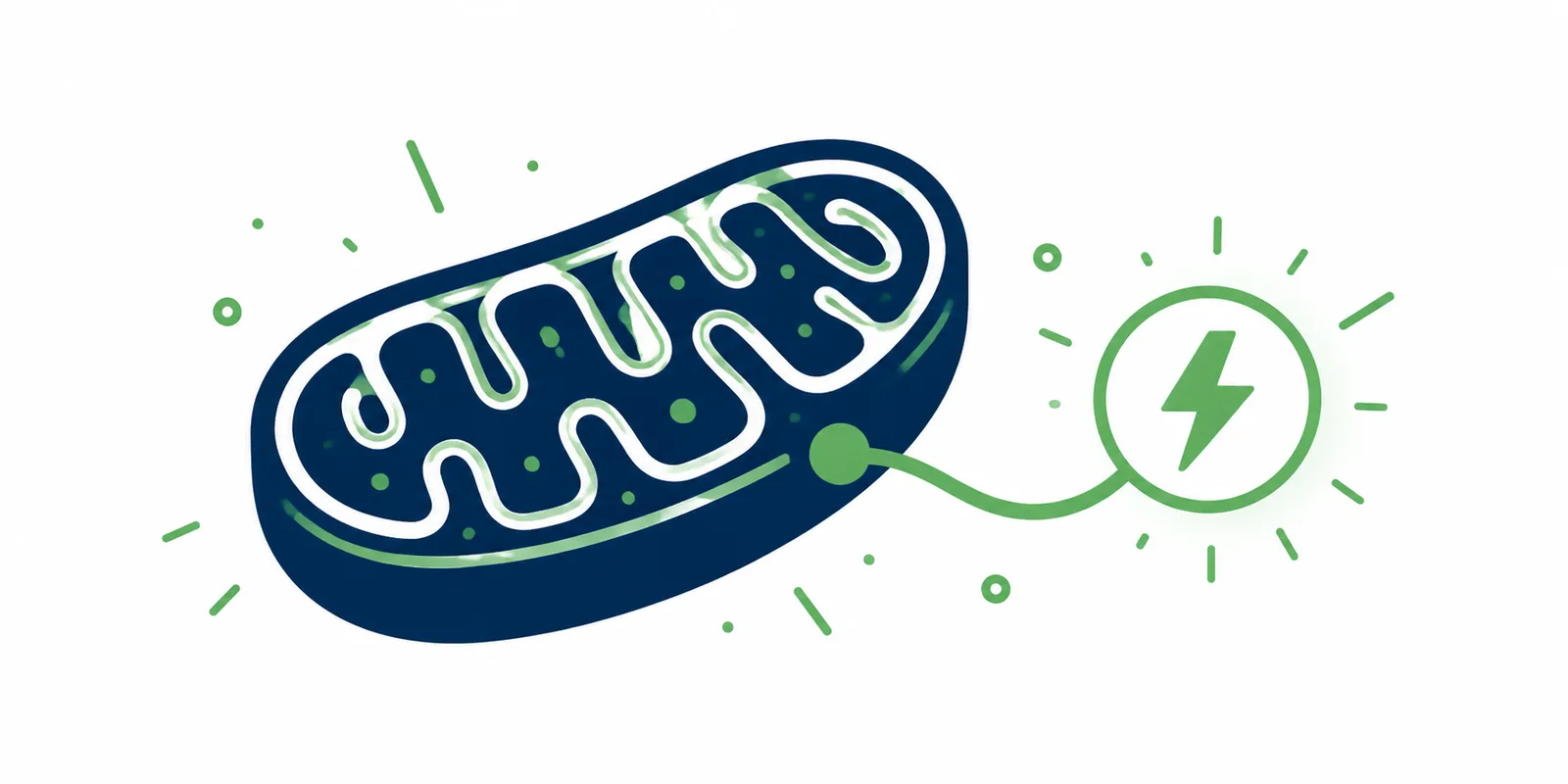 Ilustração de uma mitocôndria estilizada ligada a um símbolo de energia, representando as doenças mitocondriais