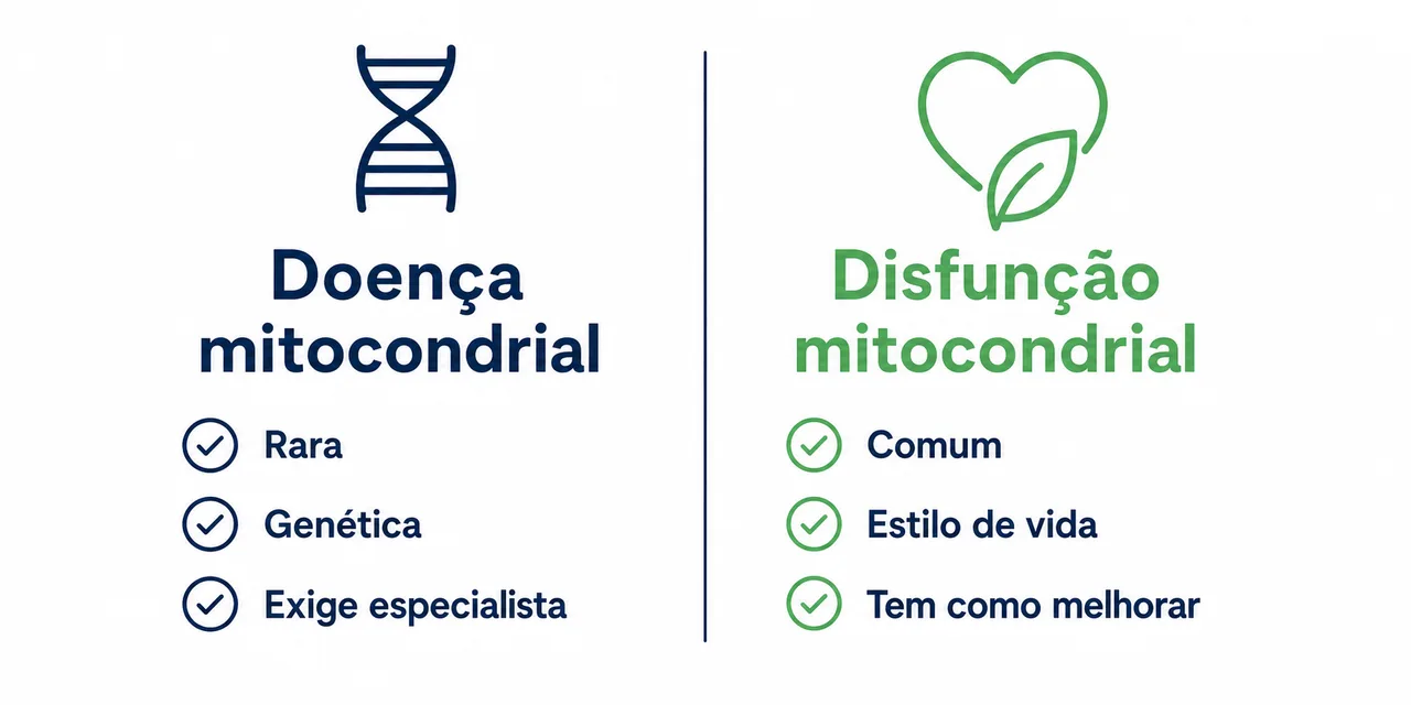 Ilustração de uma mitocôndria estilizada ligada a um símbolo de energia