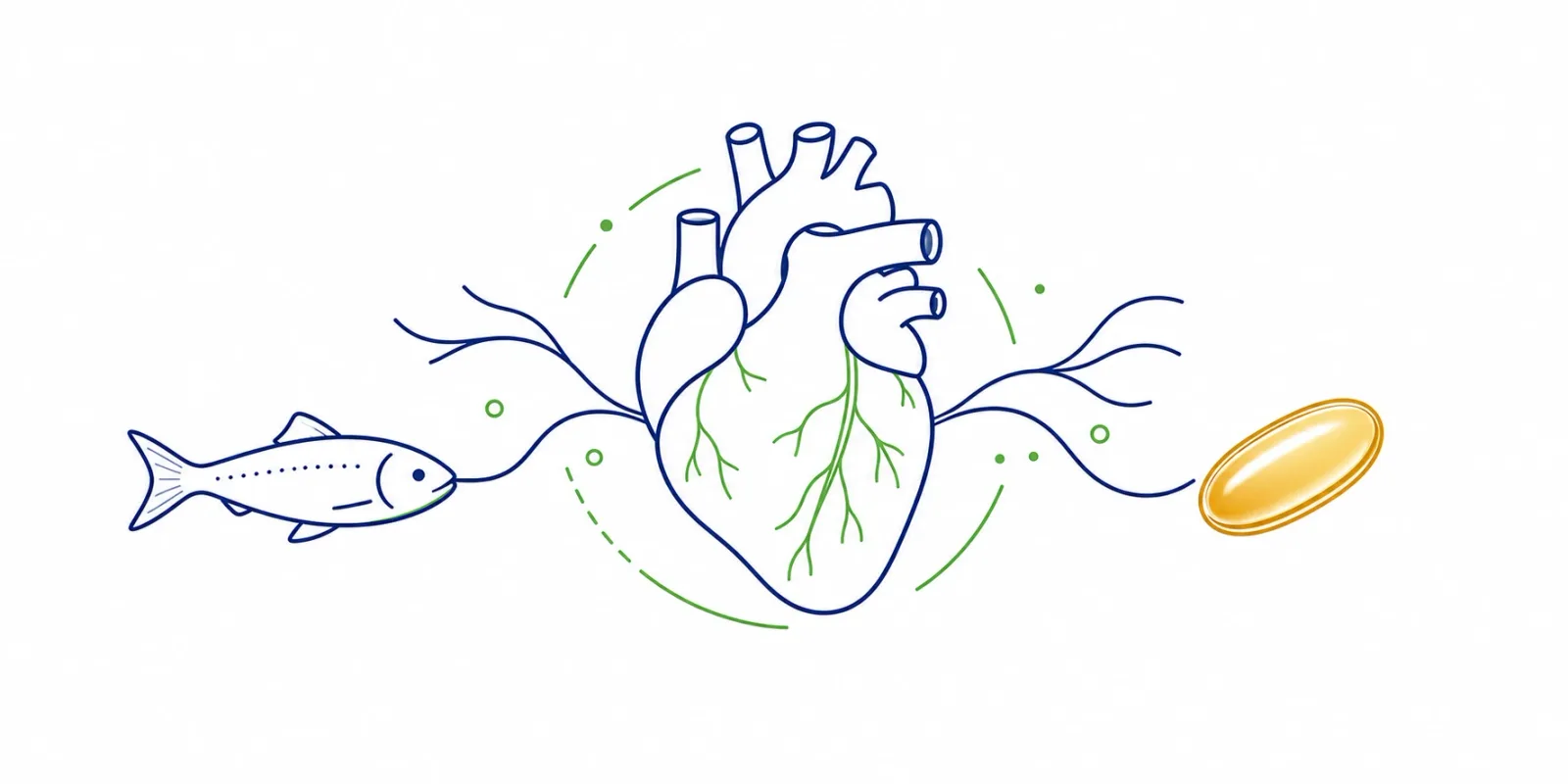 Ilustração de um coração ligado a uma cápsula de ômega-3 e a um peixe, representando o EPA na saúde cardiovascular