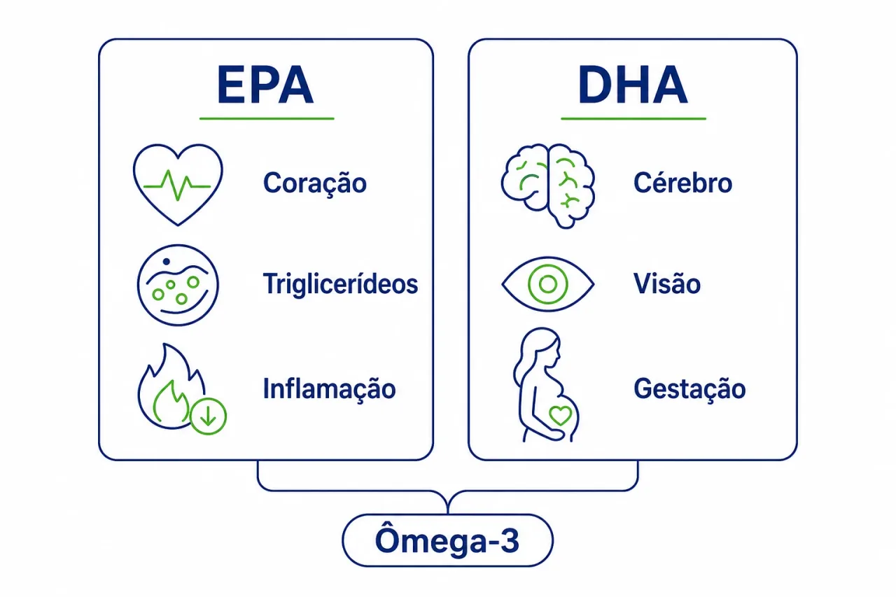 Infográfico comparando EPA e DHA, mostrando que o EPA atua mais no coração e na inflamação e o DHA mais no cérebro e na gestação