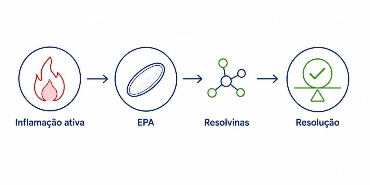 Infográfico mostrando como o EPA ajuda a encerrar a inflamação, da inflamação ativa até a resolução por meio das resolvinas