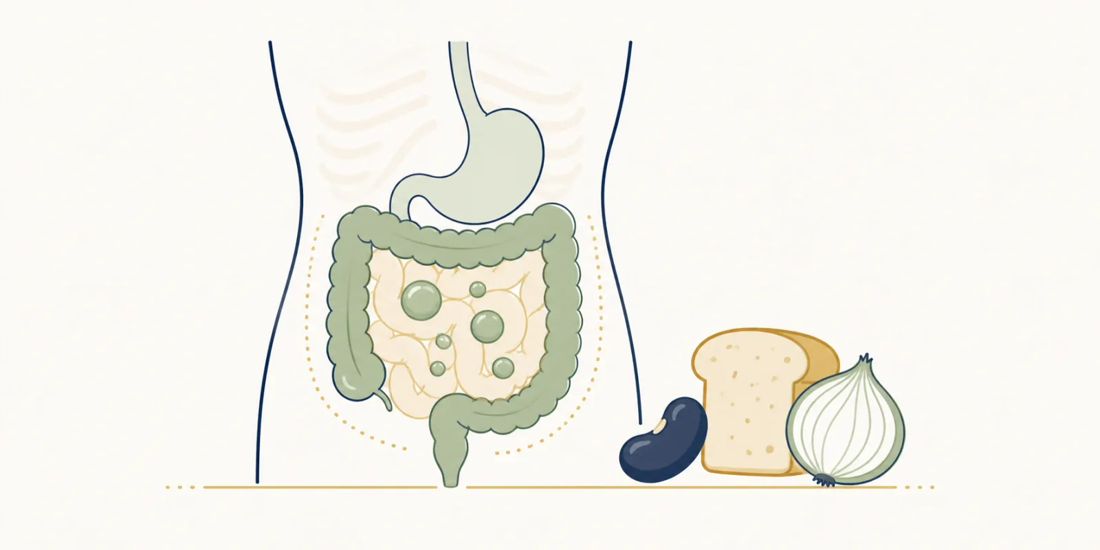 Ilustração de um abdômen esquemático com bolhas de gás e alimentos que fermentam ao redor