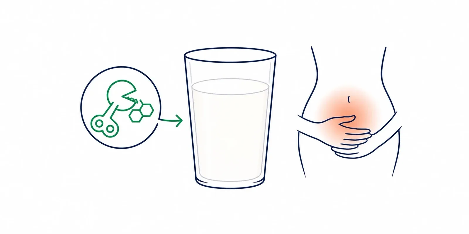Ilustração de um copo de leite com o símbolo da enzima lactase, remetendo à intolerância à lactose