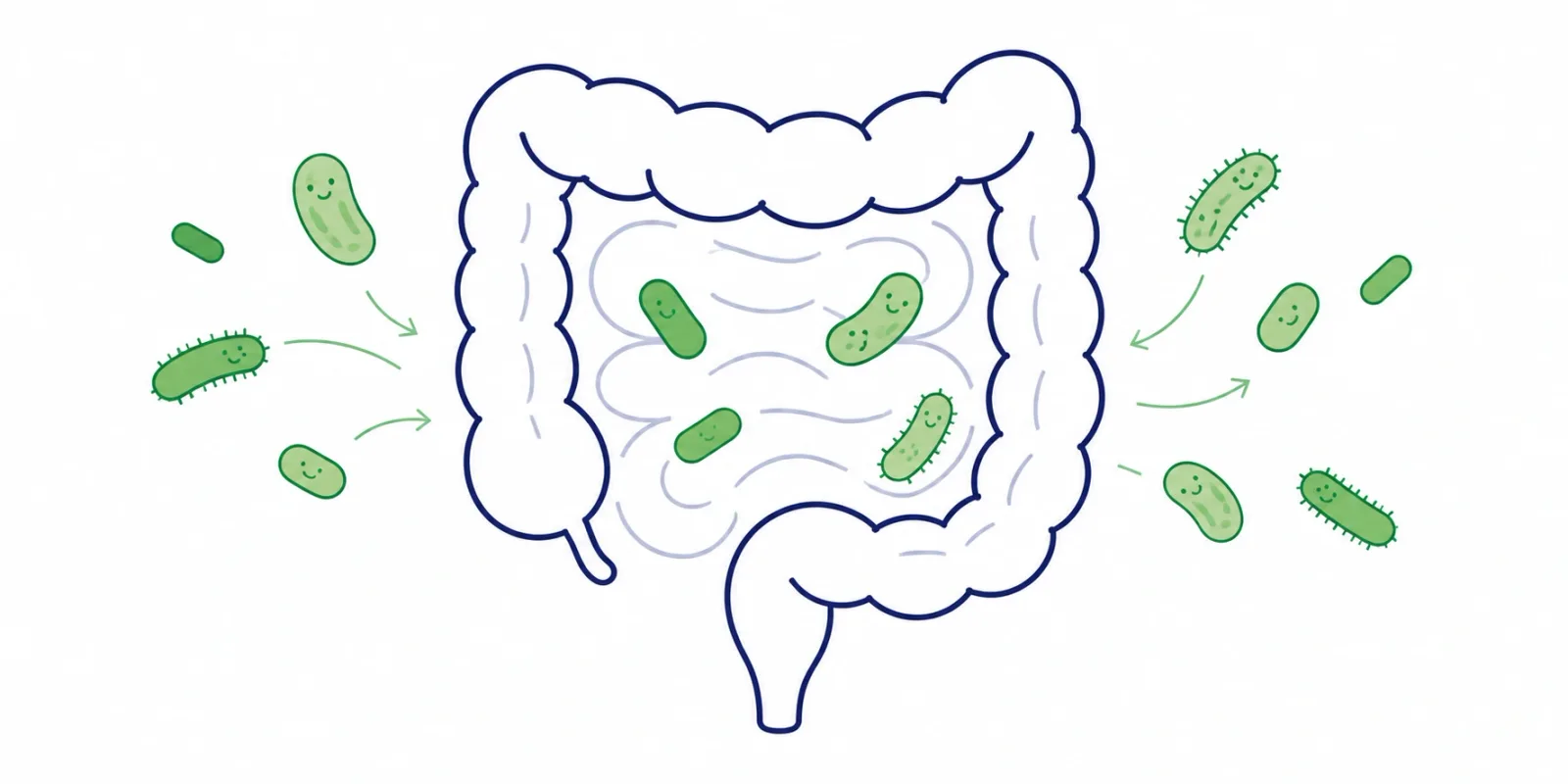 Ilustração de probióticos, com bactérias benéficas e um intestino, remetendo ao equilíbrio da microbiota