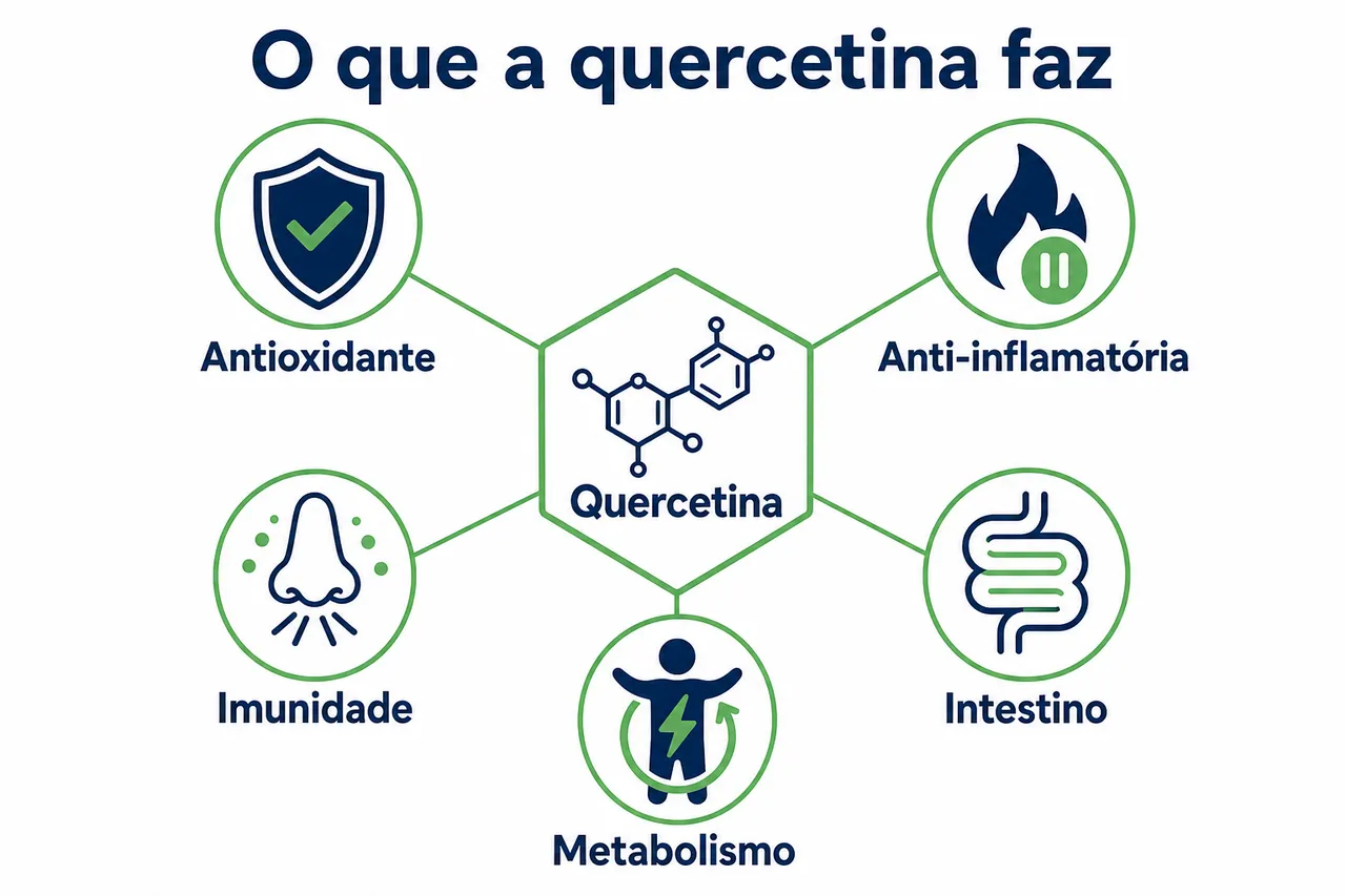 Infográfico leve mostrando as principais ações da quercetina no corpo: antioxidante, anti-inflamatória, imunidade, intestino e metabolismo