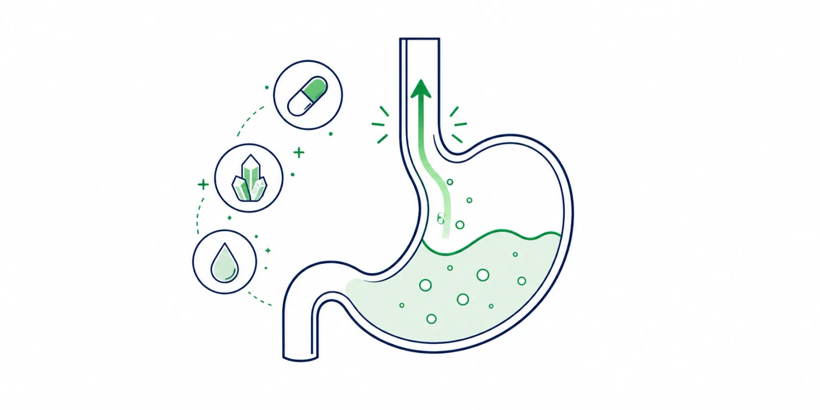 Ilustração de um estômago esquemático com seta de refluxo subindo ao esôfago e ícones de vitaminas ao lado
