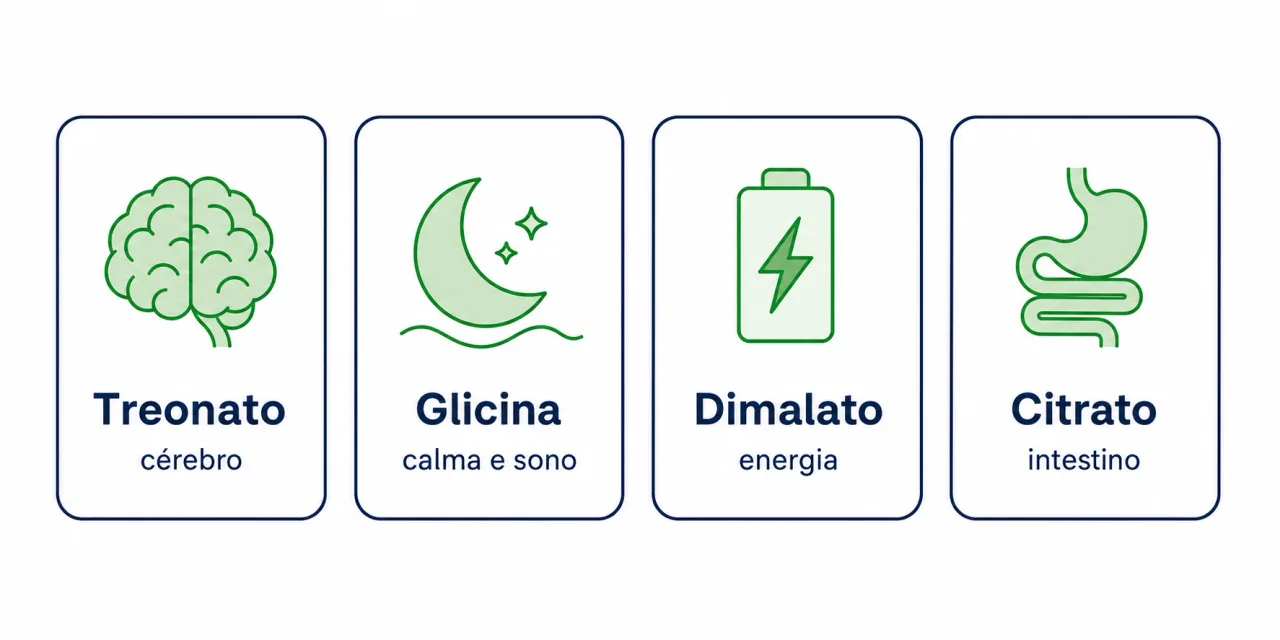 Infográfico comparando as formas de magnésio e suas vocações: treonato para o cérebro, glicina para calma e sono, dimalato para energia e citrato para o intestino