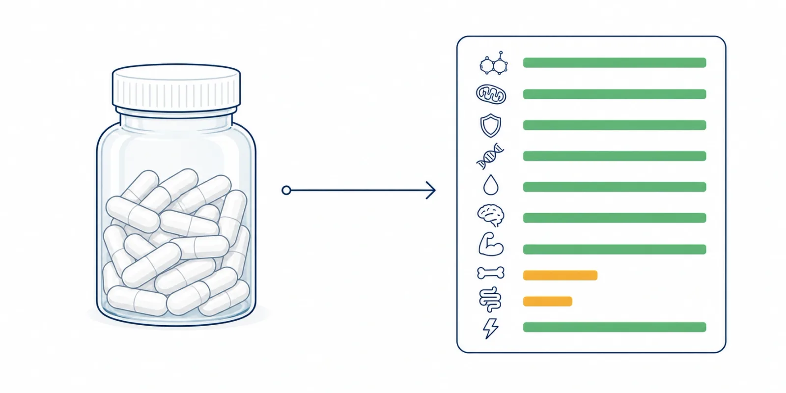 Ilustração de um exame de metabolômica indicando carências reais do corpo para guiar a suplementação