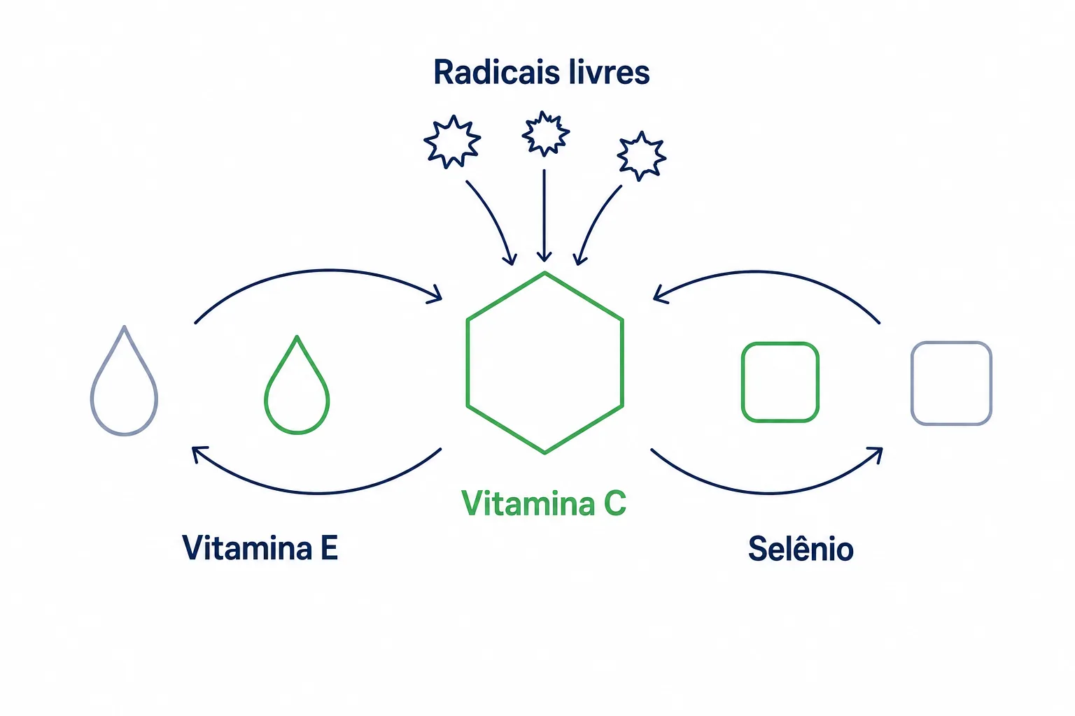 Infográfico mostrando a vitamina C recuperando a vitamina E e o selênio dentro do sistema antioxidante do corpo